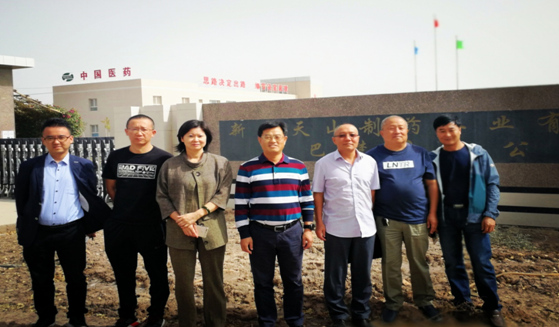 公司黨委書記侯文玲一行赴新疆巴楚分公司調研